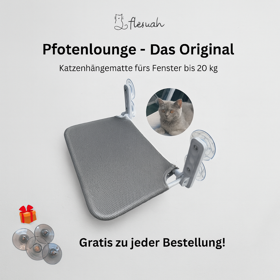 Pfotenlounge - Das Original