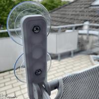 Pfotenlounge - Das Original