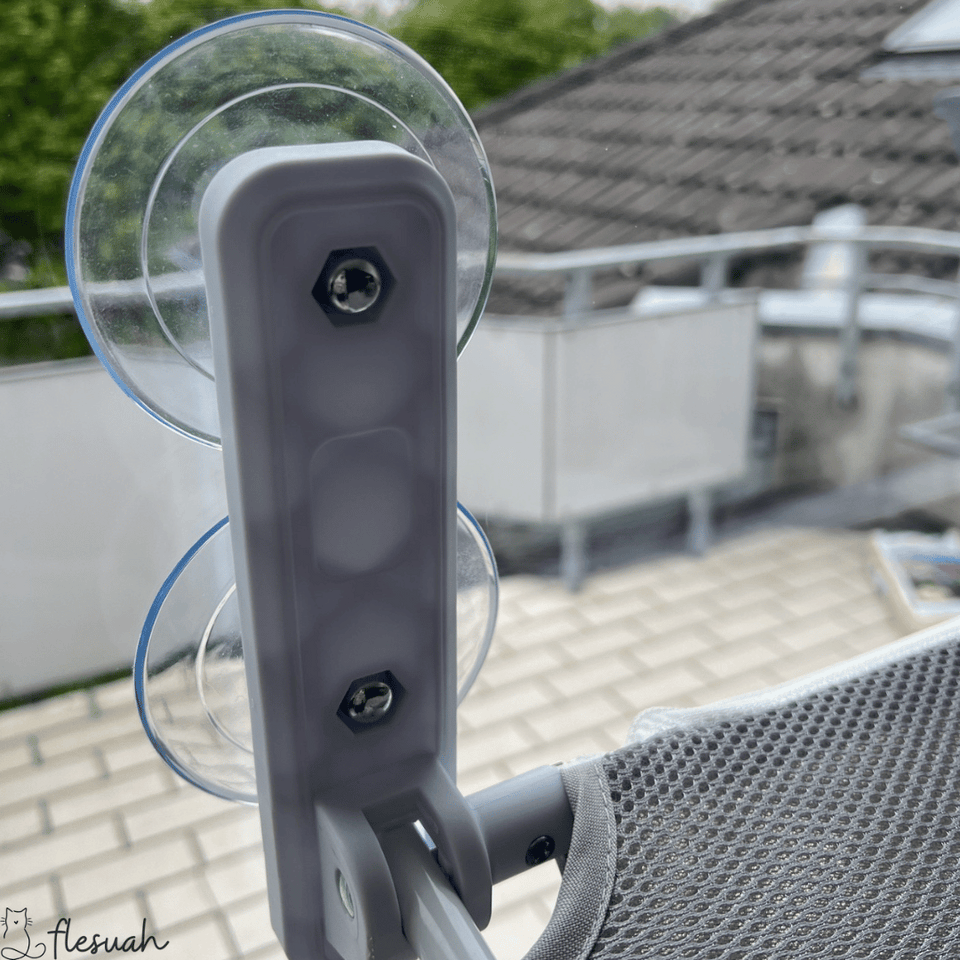 Pfotenlounge - Das Original