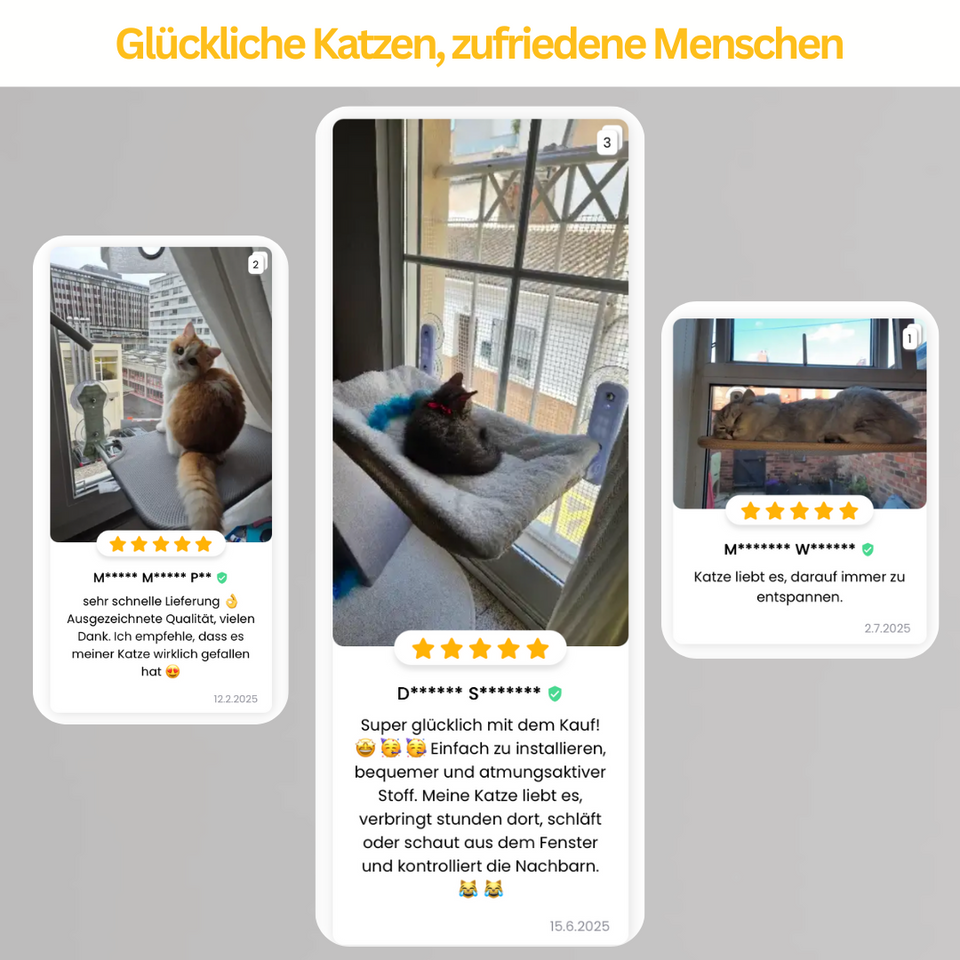 Pfotenlounge - Das Original